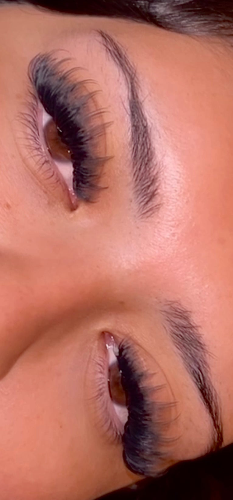 Fairy Anime Lash Tray