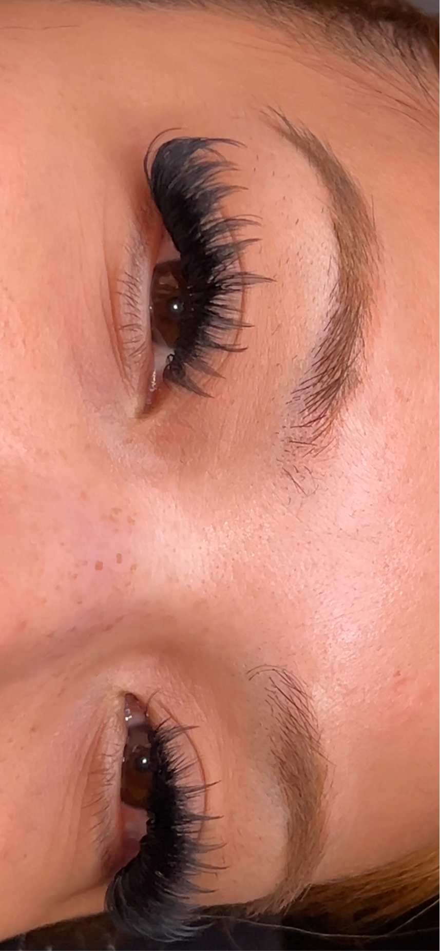 Fairy Anime Lash Tray