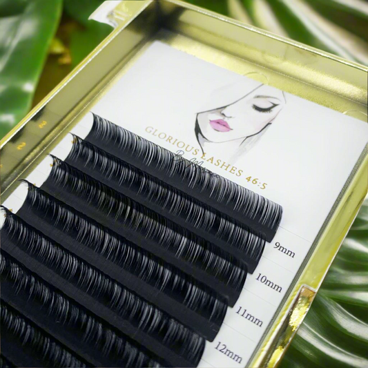 💰Cashmere Lash trays