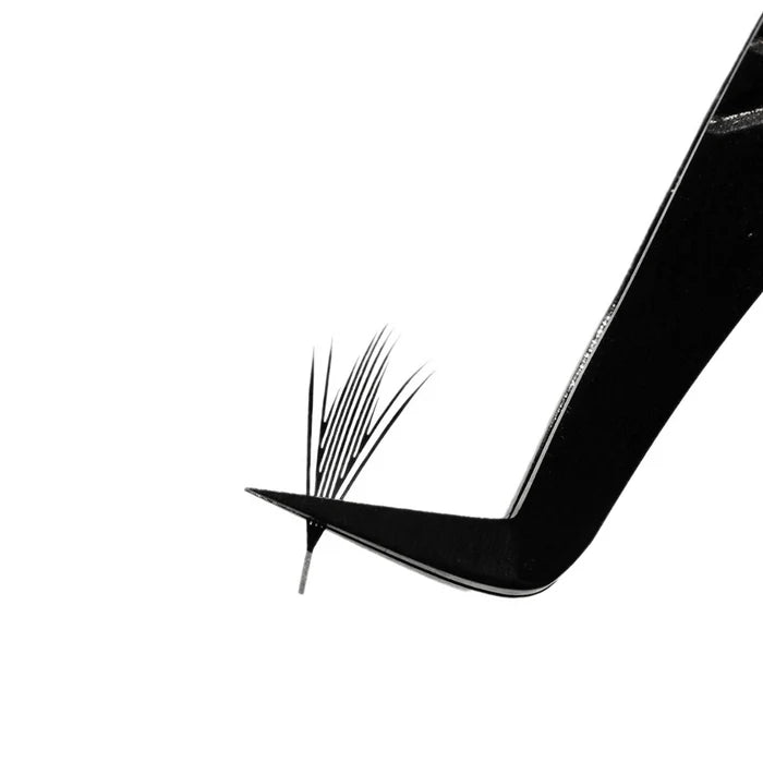 Fairy Anime Lash Tray